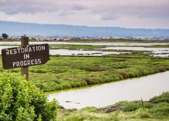 How Nature-based Solutions Can Protect Businesses from Water Risks | World Resources Institute Corporations Need to Invest in Nature-based Solutions